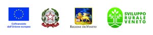 I loghi dei finanziatori del progetto